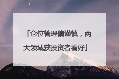 仓位管理偏谨慎，两大领域获投资者看好