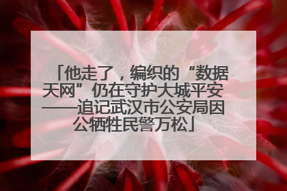 他走了，编织的“数据天网”仍在守护大城平安——追记武汉市公安局因公牺牲民警万松