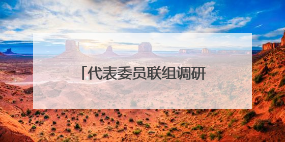代表委员联组调研文化场馆 共商公共服务提质路径
