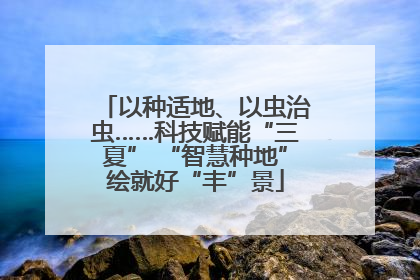 以种适地、以虫治虫……科技赋能“三夏” “智慧种地”绘就好“丰”景