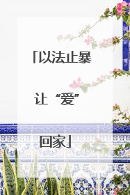 以法止暴 让“爱”回家