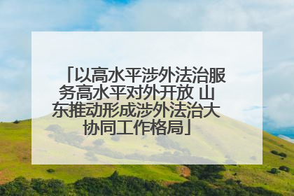 以高水平涉外法治服务高水平对外开放 山东推动形成涉外法治大协同工作格局
