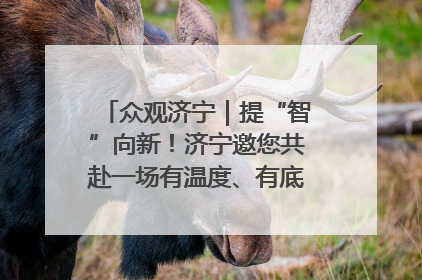 众观济宁｜提“智”向新！济宁邀您共赴一场有温度、有底气的“智造”之约