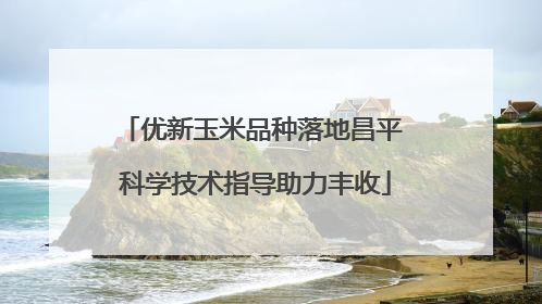 优新玉米品种落地昌平 科学技术指导助力丰收