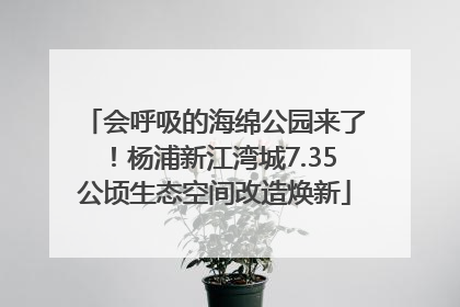 会呼吸的海绵公园来了！杨浦新江湾城7.35公顷生态空间改造焕新