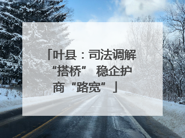 叶县：司法调解“搭桥” 稳企护商“路宽”