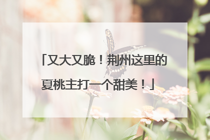 又大又脆！荆州这里的夏桃主打一个甜美！