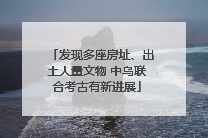 发现多座房址、出土大量文物 中乌联合考古有新进展