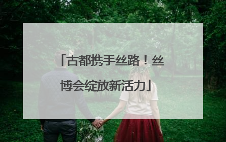 古都携手丝路！丝博会绽放新活力