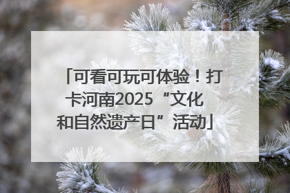 可看可玩可体验！打卡河南2025“文化和自然遗产日”活动