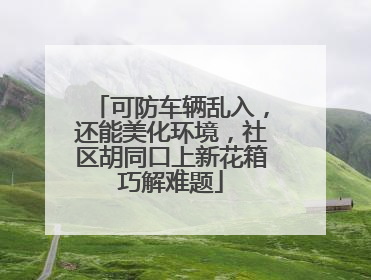 可防车辆乱入，还能美化环境，社区胡同口上新花箱巧解难题