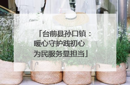 台前县孙口镇：暖心守护践初心 为民服务显担当