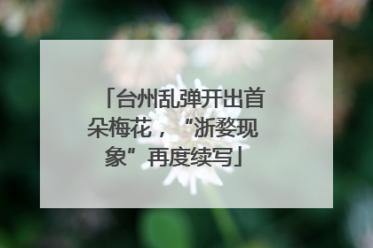 台州乱弹开出首朵梅花，“浙婺现象”再度续写