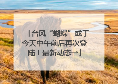 台风“蝴蝶”或于今天中午前后再次登陆！最新动态→