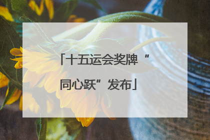 十五运会奖牌“同心跃”发布