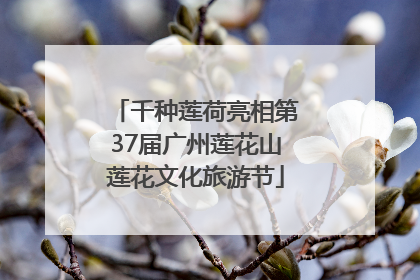 千种莲荷亮相第37届广州莲花山莲花文化旅游节