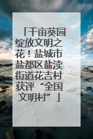 千亩葵园绽放文明之花！盐城市盐都区盐渎街道花吉村获评“全国文明村”