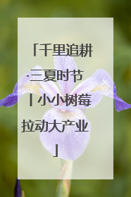 千里追耕·三夏时节丨小小树莓拉动大产业