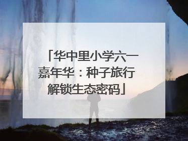 华中里小学六一嘉年华：种子旅行解锁生态密码