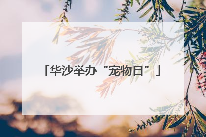 华沙举办“宠物日”