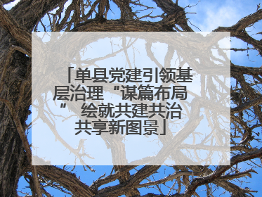 单县党建引领基层治理“谋篇布局” 绘就共建共治共享新图景
