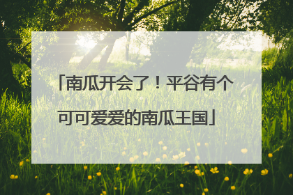 南瓜开会了！平谷有个可可爱爱的南瓜王国