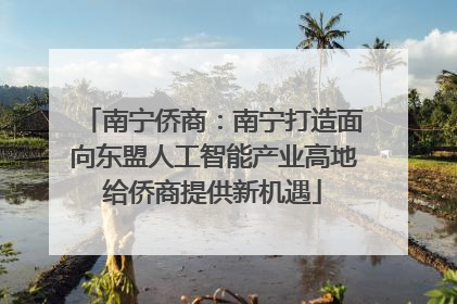 南宁侨商：南宁打造面向东盟人工智能产业高地给侨商提供新机遇