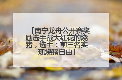 南宁龙舟公开赛奖励选手戴大红花的烧猪，选手：前三名实现烧猪自由