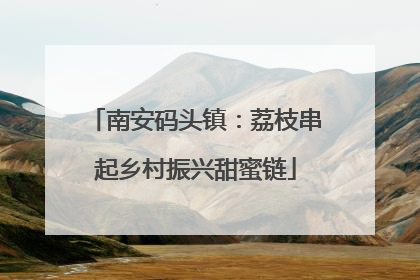 南安码头镇：荔枝串起乡村振兴甜蜜链