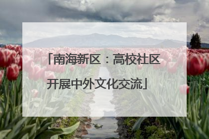 南海新区：高校社区开展中外文化交流
