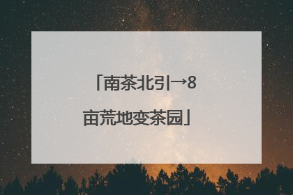 南茶北引→8亩荒地变茶园