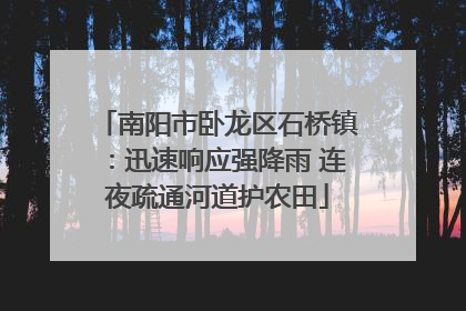 南阳市卧龙区石桥镇：迅速响应强降雨 连夜疏通河道护农田