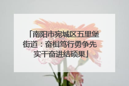 南阳市宛城区五里堡街道：奋楫笃行勇争先 实干奋进结硕果