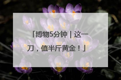 博物5分钟｜这一刀，值半斤黄金！