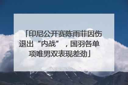 印尼公开赛陈雨菲因伤退出“内战”，国羽各单项唯男双表现差劲