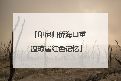 印尼归侨海口重温琼崖红色记忆