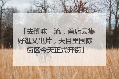 去班味一流，首店云集好逛又出片，天目里国际街区今天正式开街