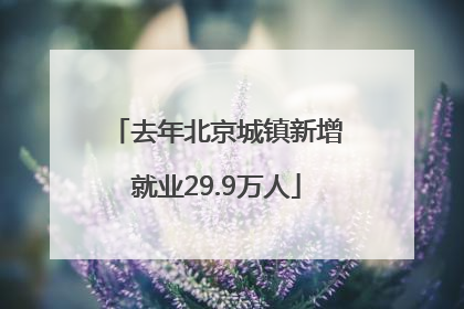 去年北京城镇新增就业29.9万人