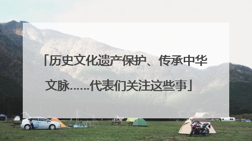 历史文化遗产保护、传承中华文脉……代表们关注这些事