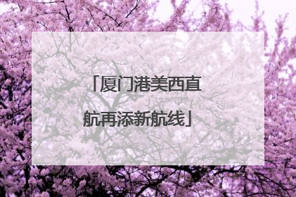 厦门港美西直航再添新航线