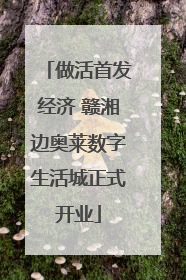 做活首发经济 赣湘边奥莱数字生活城正式开业