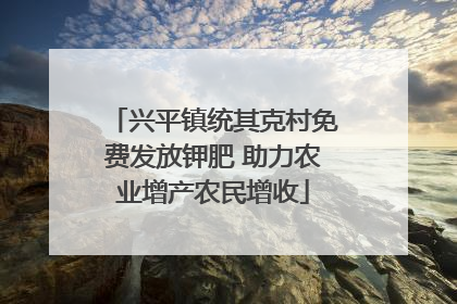 兴平镇统其克村免费发放钾肥 助力农业增产农民增收