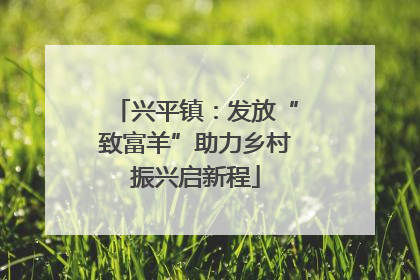 兴平镇：发放“致富羊”助力乡村振兴启新程