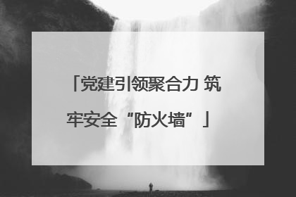 党建引领聚合力 筑牢安全“防火墙”