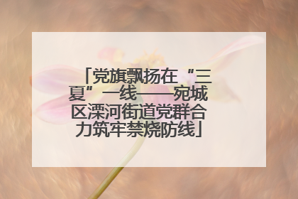 党旗飘扬在“三夏”一线——宛城区溧河街道党群合力筑牢禁烧防线