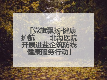 党旗飘扬·健康护航——北海医院开展进盐企筑防线健康服务行动