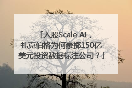 入股Scale AI，扎克伯格为何豪掷150亿美元投资数据标注公司？