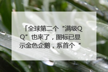 全球第二个“满级QQ”也来了，图标已显示金色企鹅，系首个“满级QQ”的小号