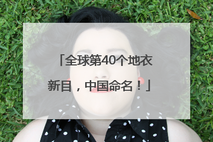 全球第40个地衣新目，中国命名！