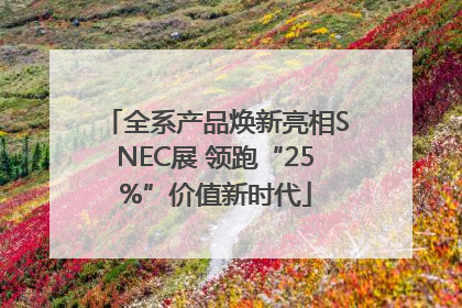 全系产品焕新亮相SNEC展 领跑“25%”价值新时代